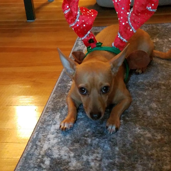 Hello - Picture 3 of 16